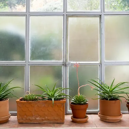 Palazzo Delle Erbe Casole dʼElsa